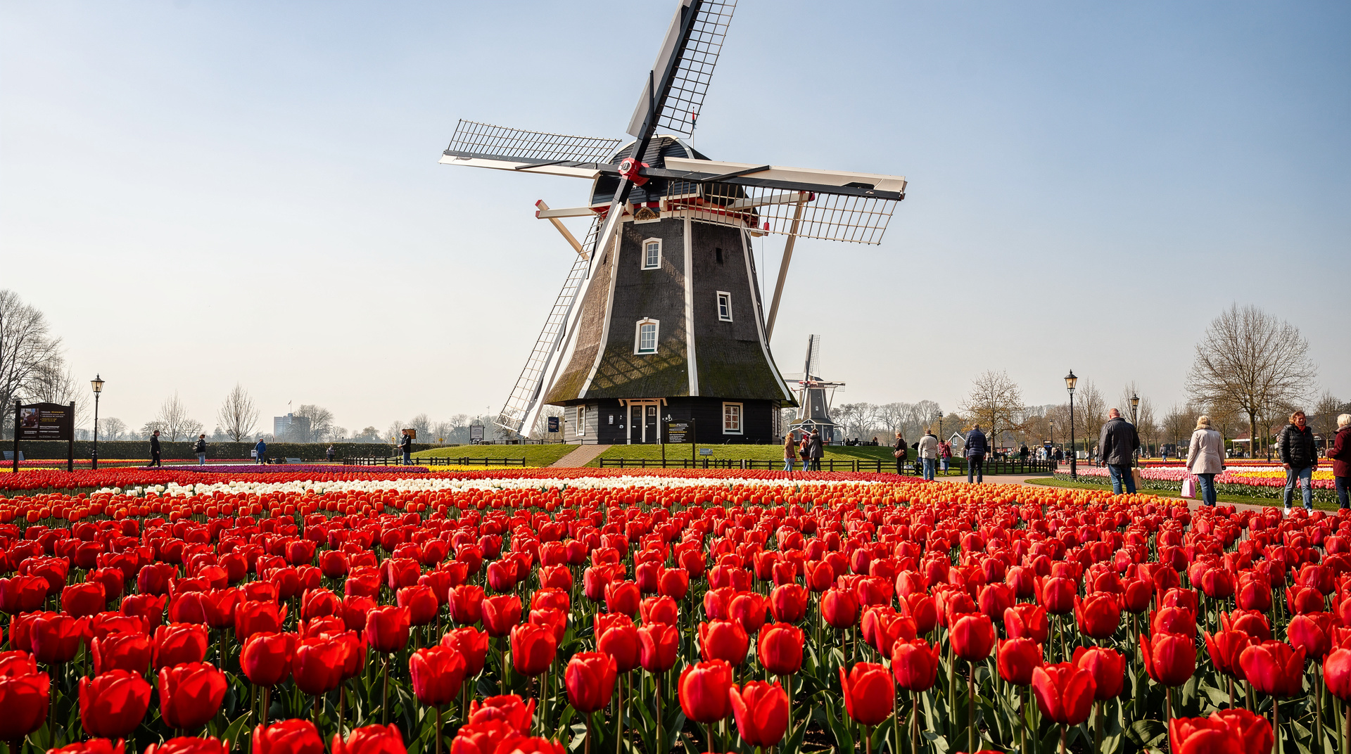From Amsterdam: Keukenhof Gardens & Tulip Experience Tour
