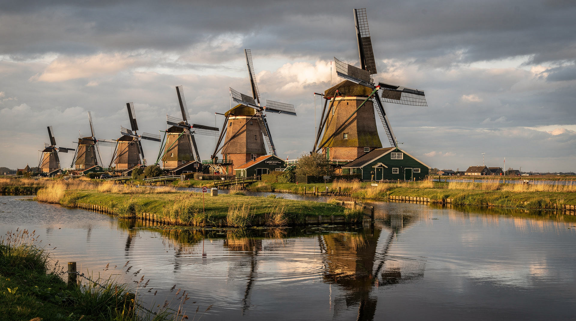 Kinderdijk day trip from Amsterdam